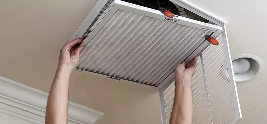 Preventive Cockroach-Proofing for Ducts in Hope Mills