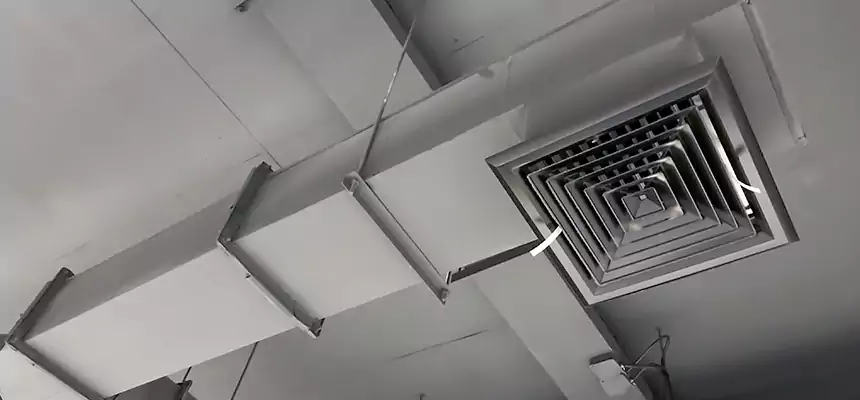 Our Rodent Droppings In Vents Services in Hope Mills, NC