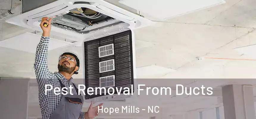  Pest Removal From Ducts Hope Mills - NC