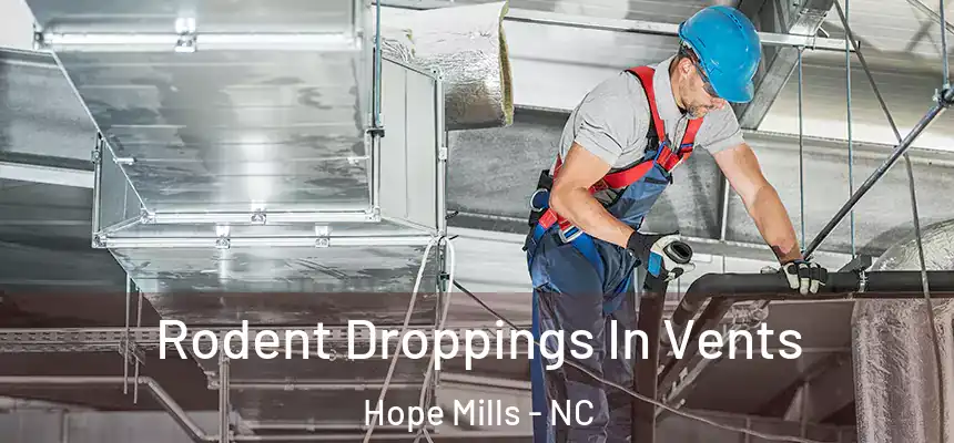  Rodent Droppings In Vents Hope Mills - NC