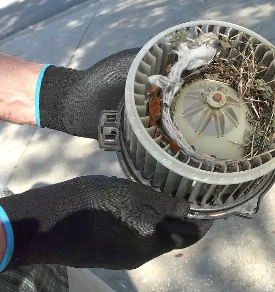 About Air Duct Rat Removal in Hope Mills, NC