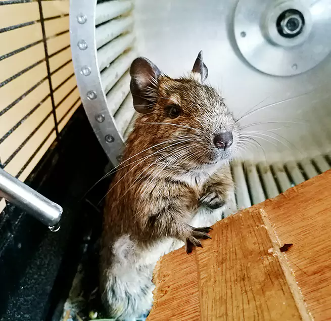 Why Homeowners & Businesses Trust Us Hope Mills, NC?